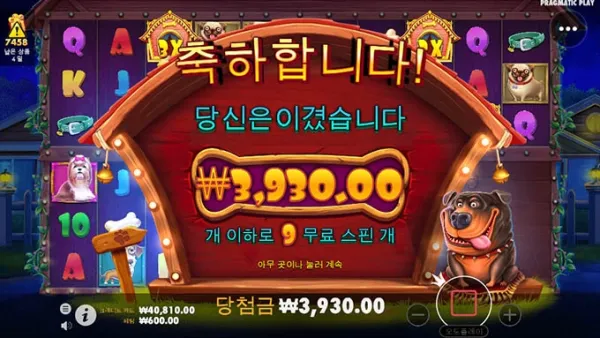 강아지 새로나온거