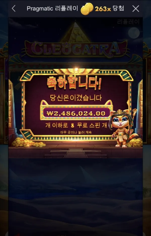 고양이 한마리 분양예정ㅅㅅㅅ