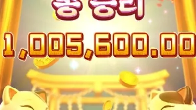 피지 네코 500배 대박 ㅅㅅㅅ