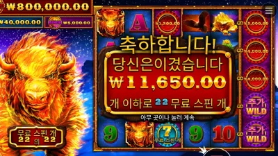 파이어 스탬피드 22스핀