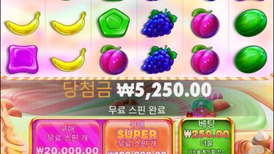 보난자 1000
