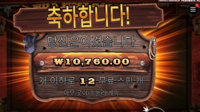 와일드 웨스트 골드 12스핀