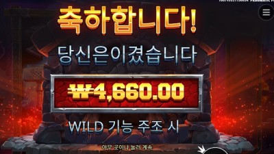 프라그마틱 포징 와일드