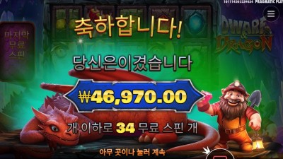 드워프 앤드 드래곤 235배