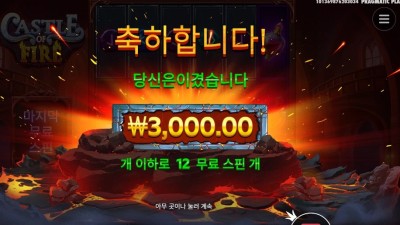 캐슬 오브 파이어 3천원