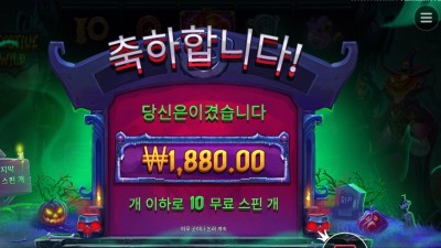 인펙티드 와일드 １０스핀