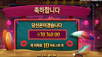 핀업 걸스 센세 한방