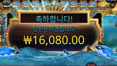 피시 아이 ４콩 배팅