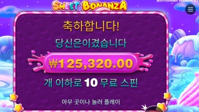 스위트 보난자 12콩