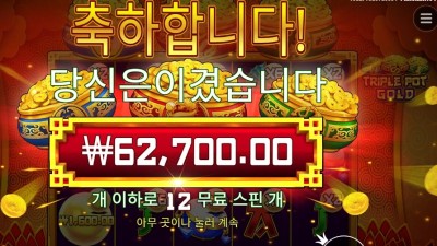 트리플 팟 골드 156배