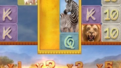 Safari Wilds