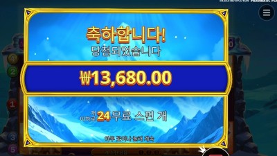 프라그마틱 히말라얀 와일드