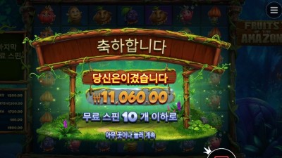 후르츠 오브 더 아마존 11천원
