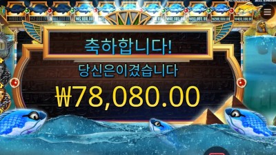 피시 아이 195배
