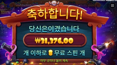 스카이 바운티 메가 한방