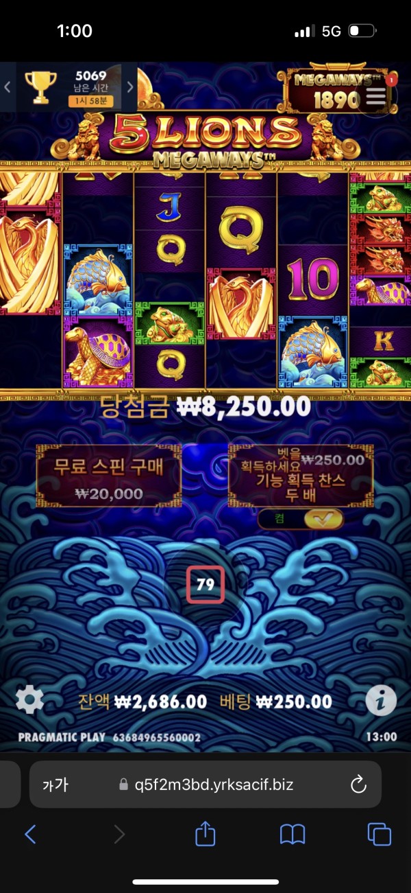 20250509130322IMG_7439.png
