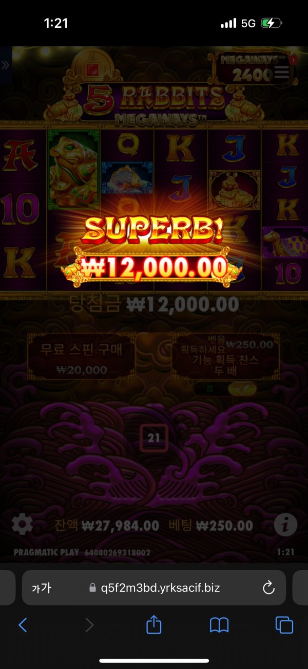 20250515012515IMG_7524.png