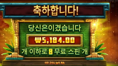 시크릿 시티 골드 ５천원