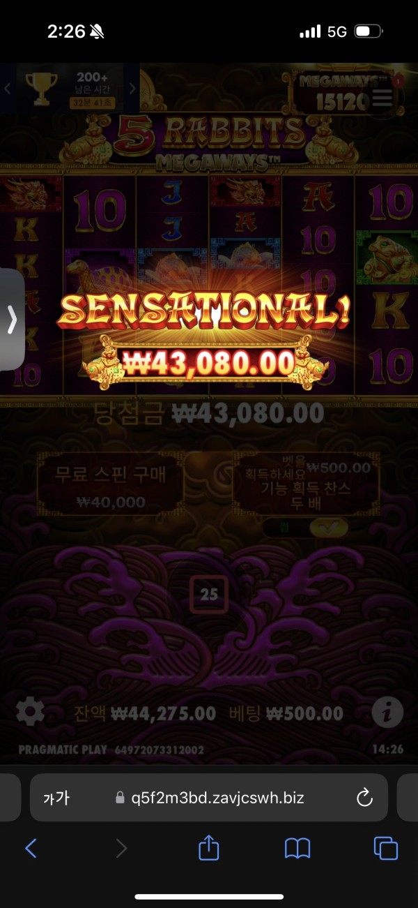 20250526143047IMG_7739.png