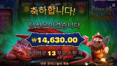 드워프 앤드 드래곤１３스핀