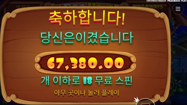 개집 337배