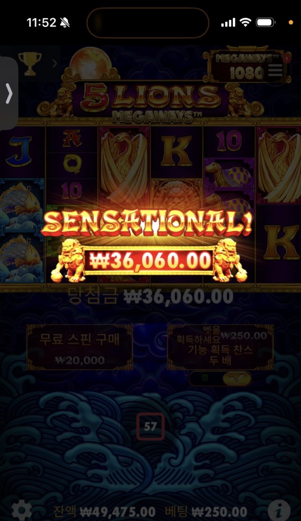 20250619115416IMG_8161.jpeg