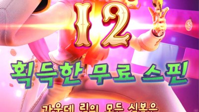 다시시작된 피지