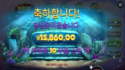 와와펄 １５천원
