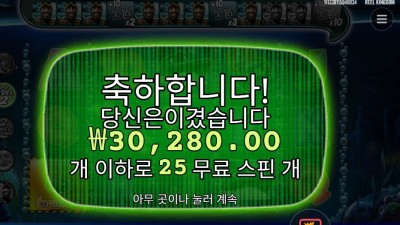 미션 피쉰 ２５스핀