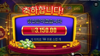 프라그마틱 캐시 박스