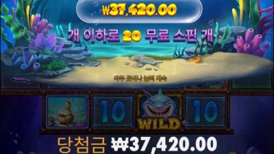 비웨어 딥 메가웨이