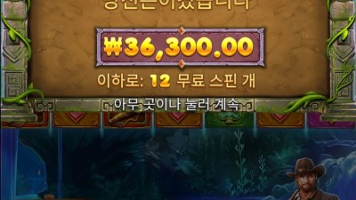 진입