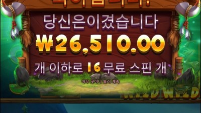릴리스 바이슨