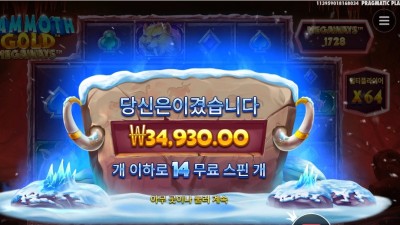 맘모스 골드 메가웨이즈 34천원