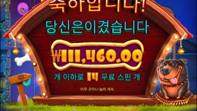 개집 멀티 2