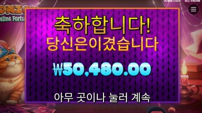 폰조 필라인 포춘스 252배