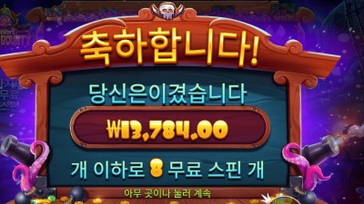 스카이 바운티 １３천원