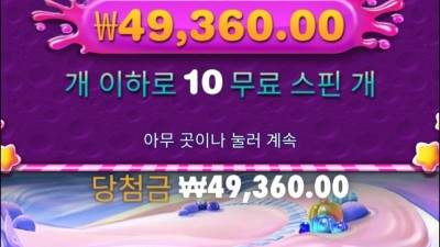 스위트 보난자