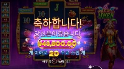 와일드 와일드 조커 219배