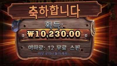 와일드 웨스트 골드 2콩 배팅