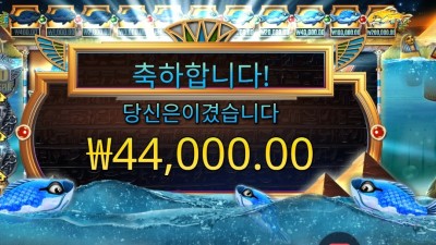 피시 아이 44천원