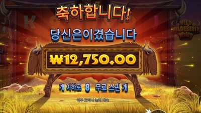 온라인슬롯 와일드 와일드비스트 윈즈