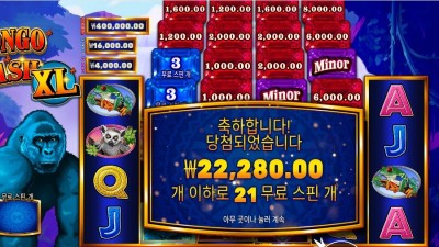 프라그마틱 콩고 캐시 XL