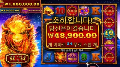 파이어 스탬피드 34스핀