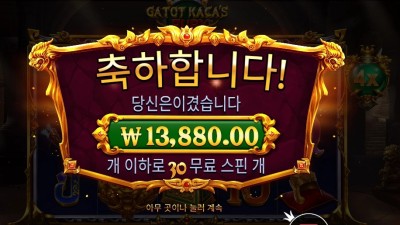 카토 카카즈 퓨리 12콩 배팅