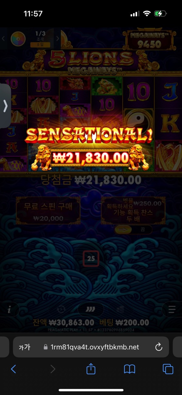 20250930115820IMG_9403.png