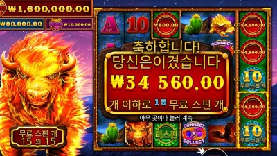 파이어 스탬피드 ２