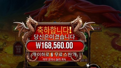 슬리핑 드래곤 421배