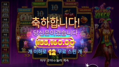 와일드 와일드 조커 55천원
