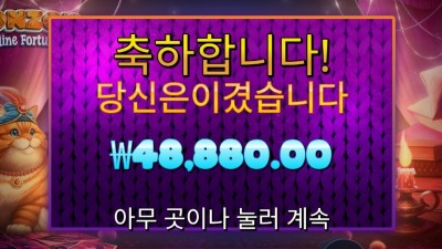 폰조 필라인 포춘스 121배